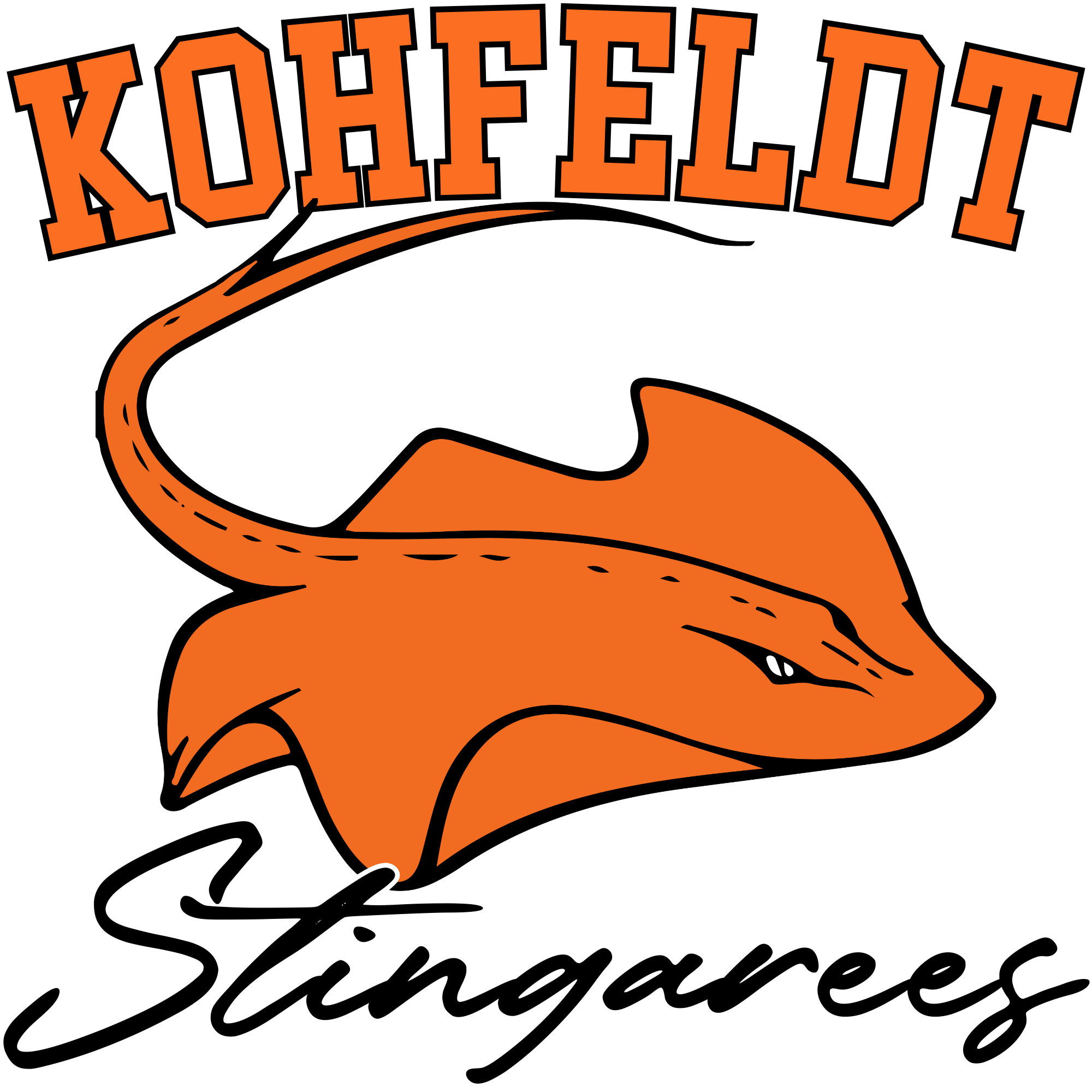 Kohfeldt Elementary Stings